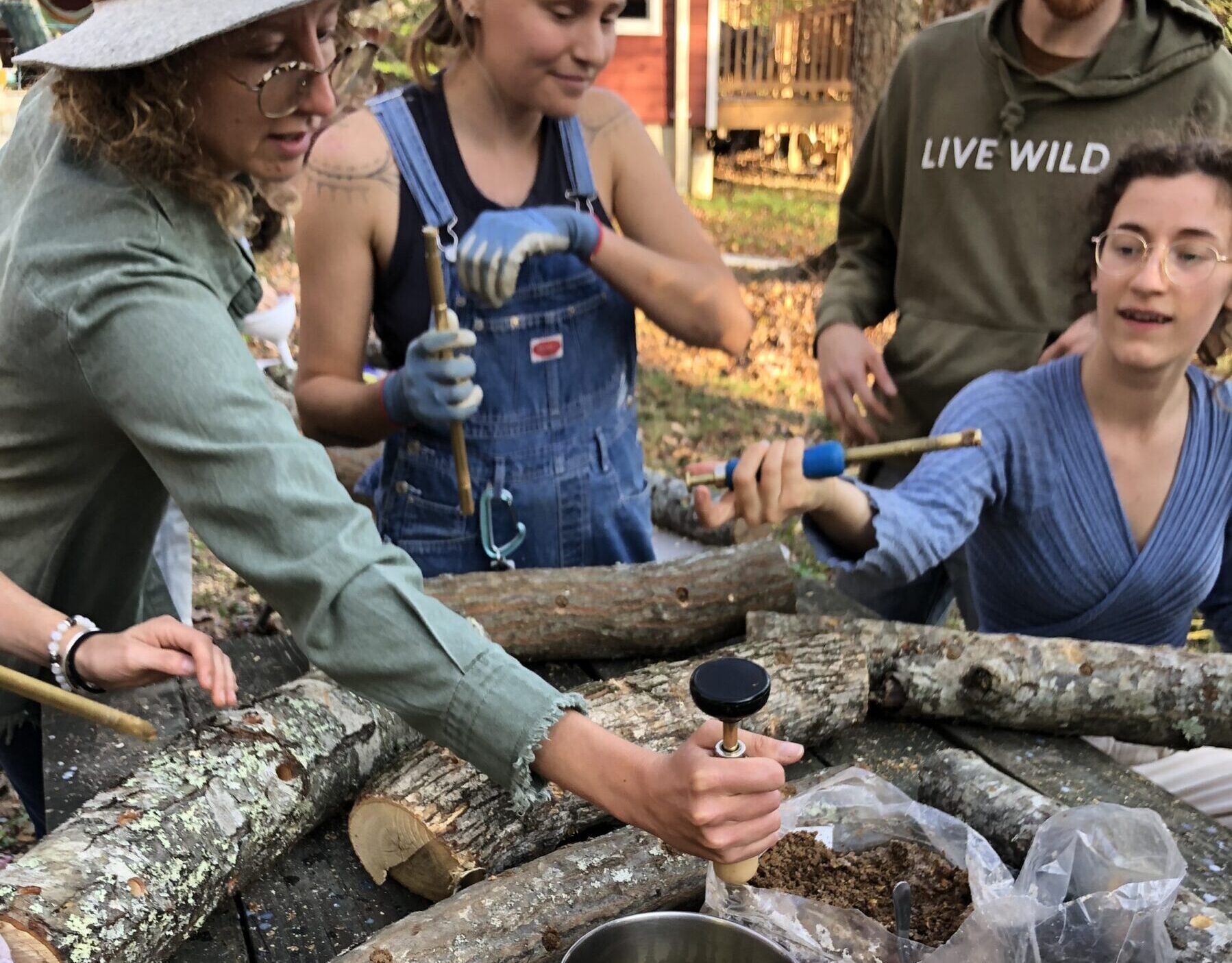 Growing Shitake and Oyster Mushrooms on Logs and WNC Mushroom Cultivation Community Resources